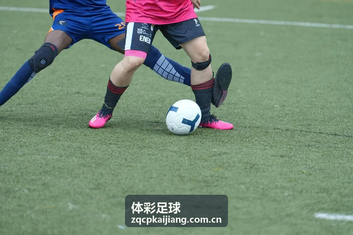 体彩足球数据情报
